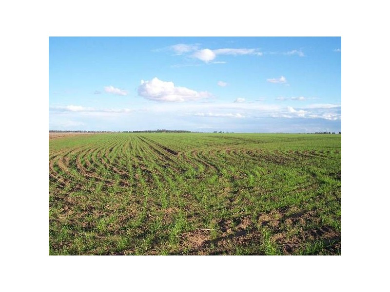 Gadsbys Road, Jandowae QLD 4410