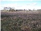 Gadsbys Road, Jandowae QLD 4410