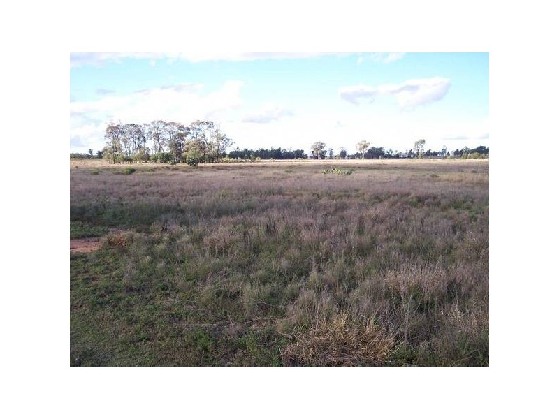 Gadsbys Road, Jandowae QLD 4410