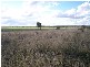 Gadsbys Road, Jandowae QLD 4410