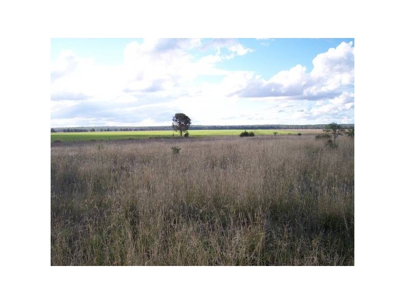 Gadsbys Road, Jandowae QLD 4410