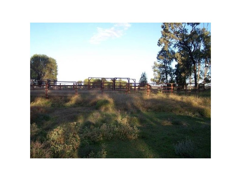 Gadsbys Road, Jandowae QLD 4410
