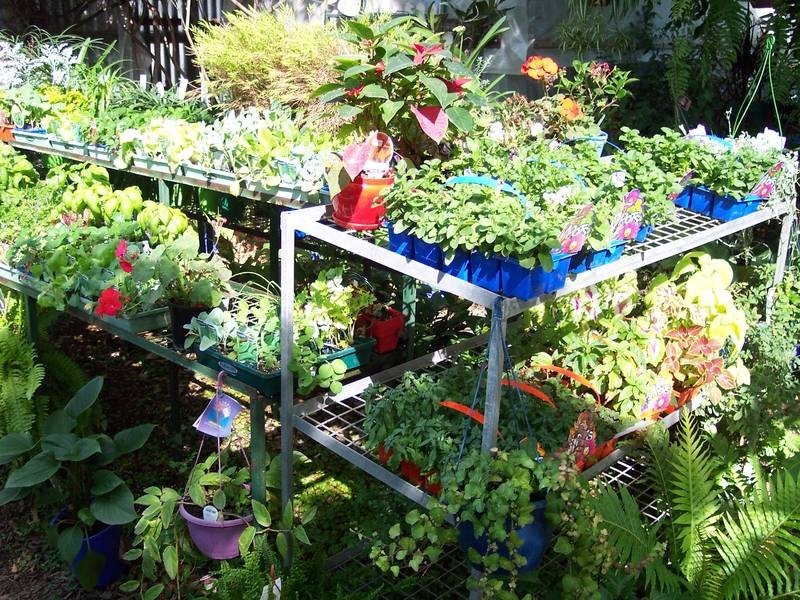 Cooper Street, Chinchilla QLD 4413