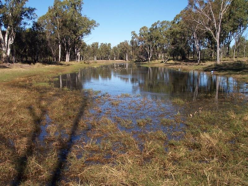 Braithwaites Road, Chinchilla QLD 4413