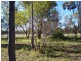 Braithwaites Road, Chinchilla QLD 4413