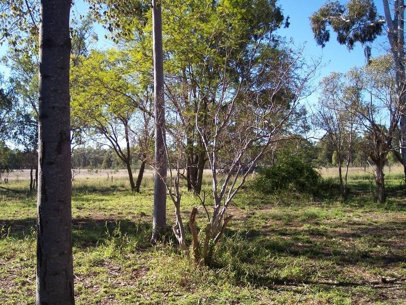 Braithwaites Road, Chinchilla QLD 4413