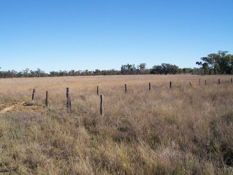 Braithwaites Road, Chinchilla QLD 4413