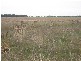 1 Wolskis Road Warra, Warra QLD 4411