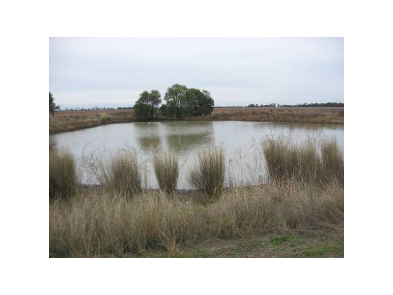 1031 Boonarga Inverai Road, Chinchilla QLD 4413