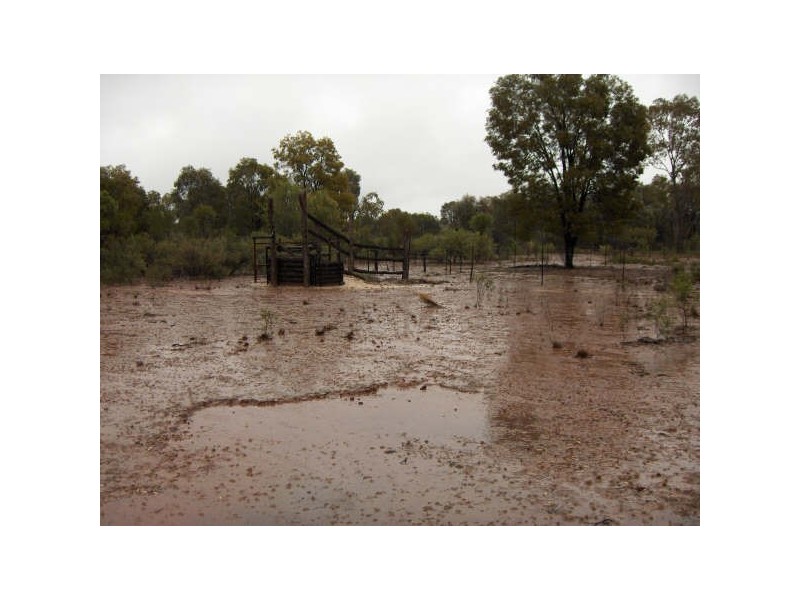 Humbug Road, Tara QLD 4421