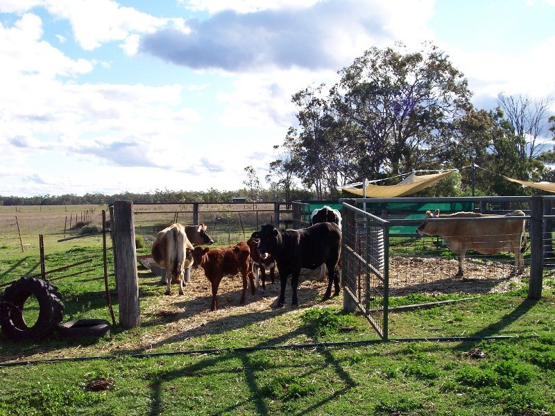 0 Old Rosevale Road, Jandowae QLD 4410