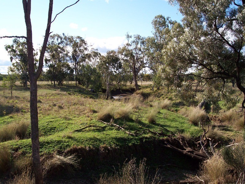 0 Old Rosevale Road, Jandowae QLD 4410