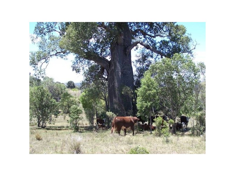 0 CADARGA, Chinchilla QLD 4413