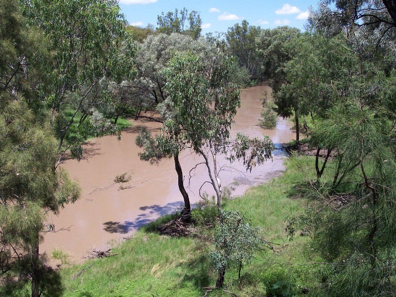 0 RIDERS ROAD, Chinchilla QLD 4413