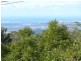 Tamborine Mountain QLD 4272