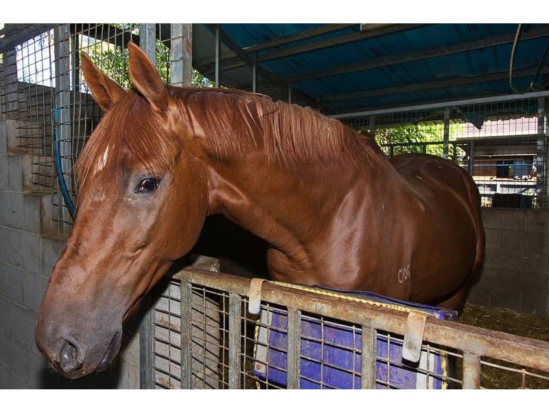 6 Waterford Court, Bundall QLD 4217