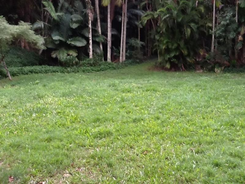 56 Tallai Road, Tallai QLD 4213