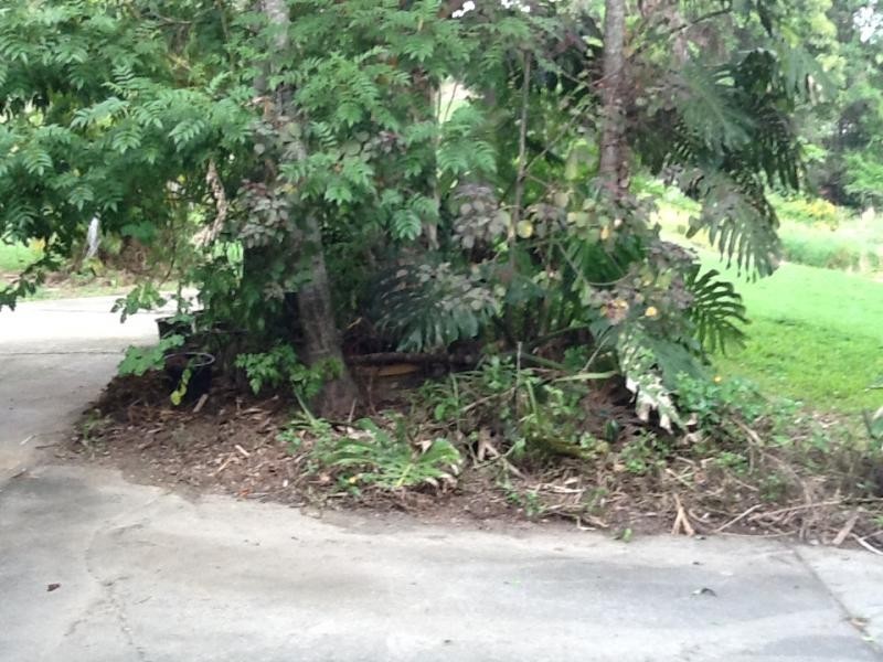 56 Tallai Road, Tallai QLD 4213
