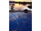 3138 Riverleigh Drive, Hope Island QLD 4212