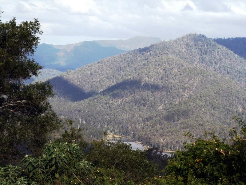 17 Tarlington Road, Lower Beechmont QLD 4211