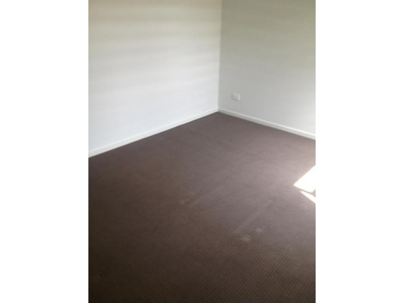 16 Careel Close, Helensvale QLD 4212