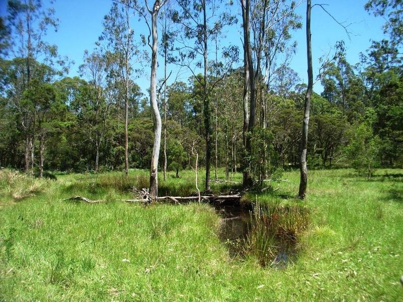 Lot 146 Barry’s Bridge Road, Pillar Valley NSW 2462