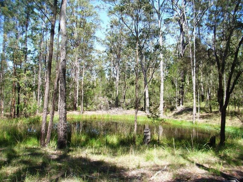 Lot 146 Barry’s Bridge Road, Pillar Valley NSW 2462