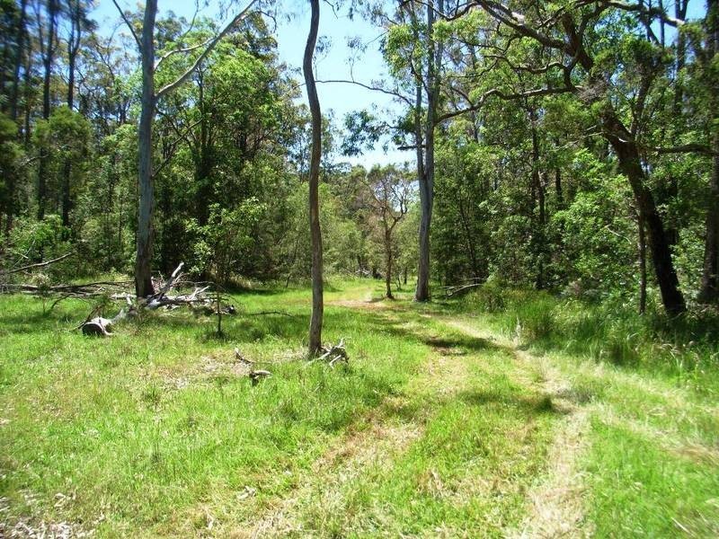 Lot 146 Barry’s Bridge Road, Pillar Valley NSW 2462