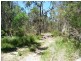 Lot 146 Barry’s Bridge Road, Pillar Valley NSW 2462