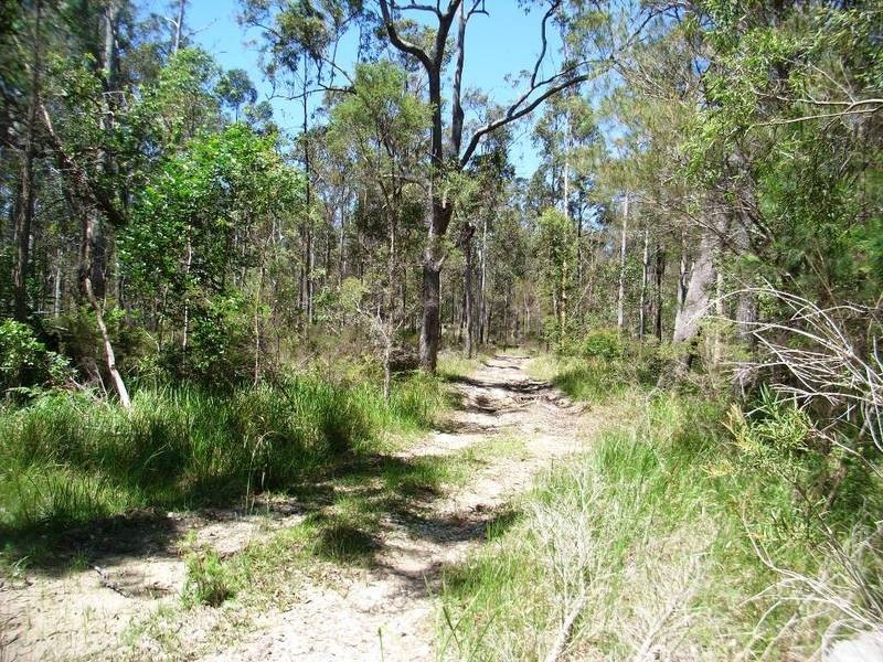 Lot 146 Barry’s Bridge Road, Pillar Valley NSW 2462