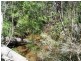 Lot 146 Barry’s Bridge Road, Pillar Valley NSW 2462