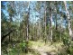 Lot 146 Barry’s Bridge Road, Pillar Valley NSW 2462