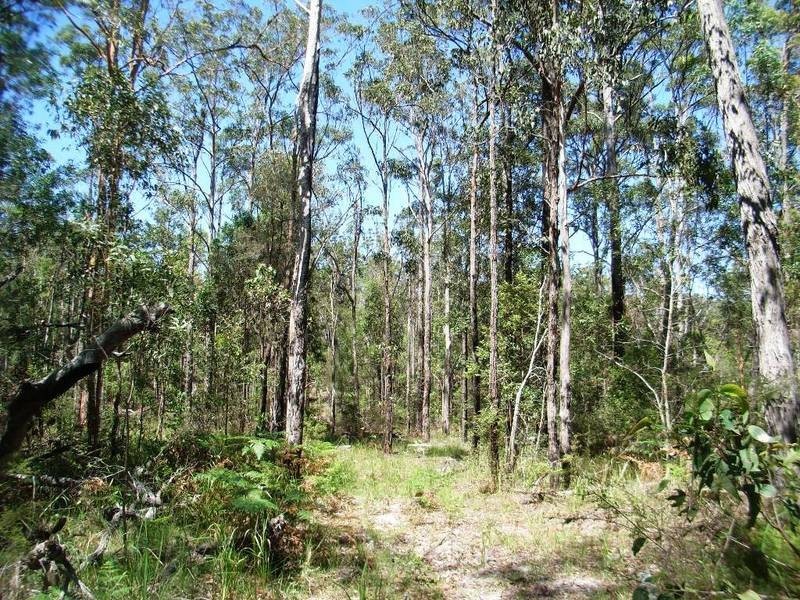 Lot 146 Barry’s Bridge Road, Pillar Valley NSW 2462