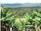 632 Firth Heinz Road, Pillar Valley NSW 2462