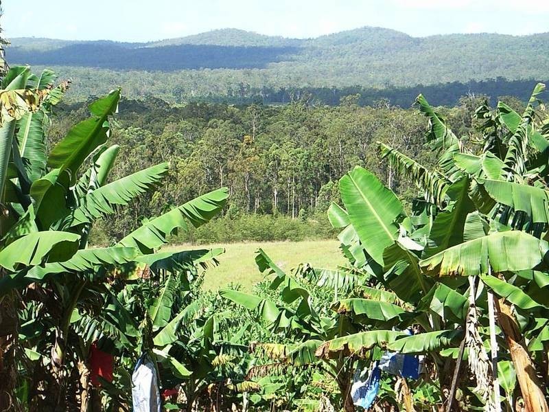 632 Firth Heinz Road, Pillar Valley NSW 2462