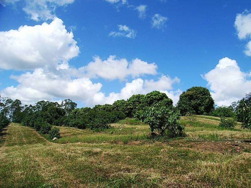 632 Firth Heinz Road, Pillar Valley NSW 2462