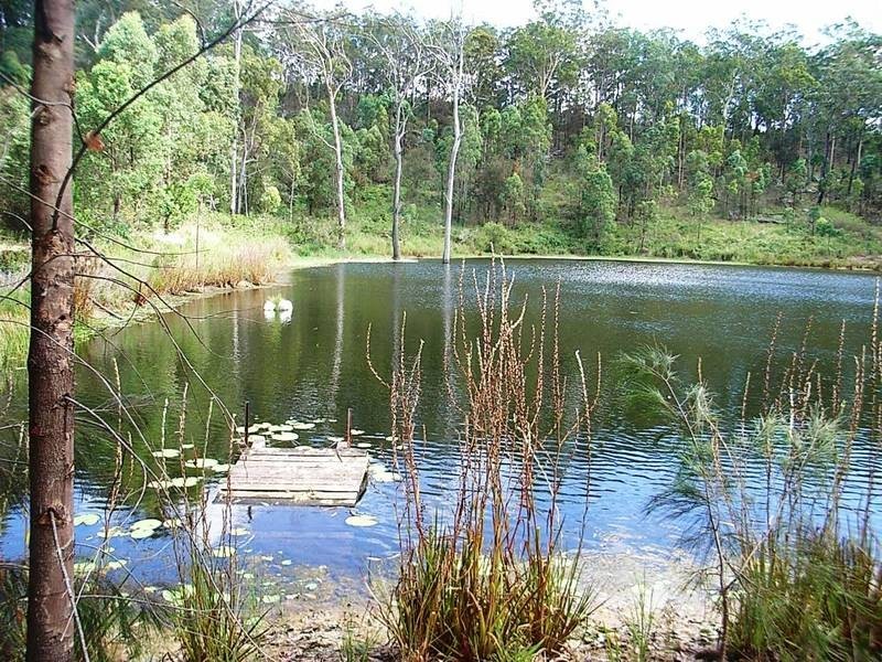 632 Firth Heinz Road, Pillar Valley NSW 2462