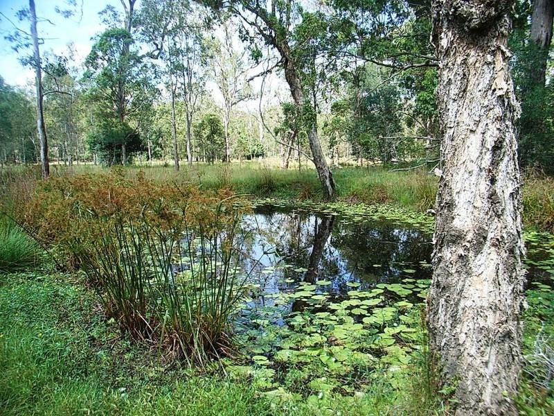 Lot 37 Somervale Road, Tucabia NSW 2462