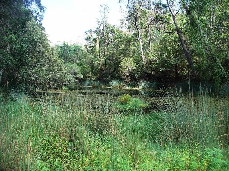 Lot 37 Somervale Road, Tucabia NSW 2462