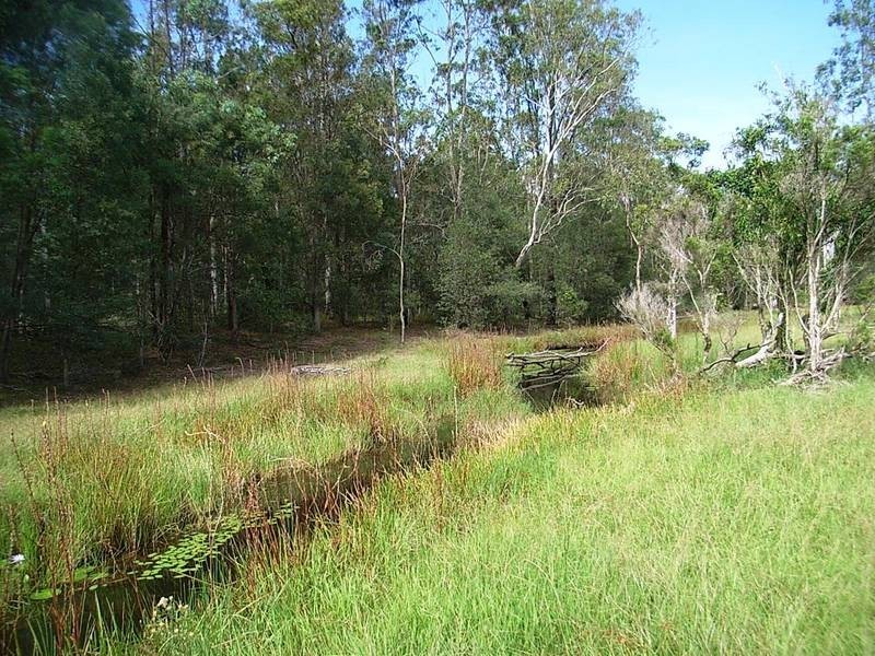 Lot 37 Somervale Road, Tucabia NSW 2462