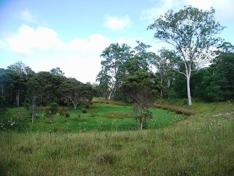 Lot 37 Somervale Road, Tucabia NSW 2462