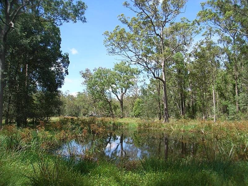 Lot 37 Somervale Road, Tucabia NSW 2462