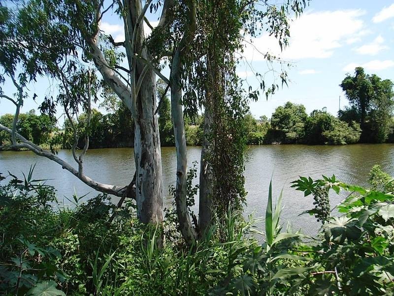 91 Upper Coldstream Rd, Tyndale NSW 2460