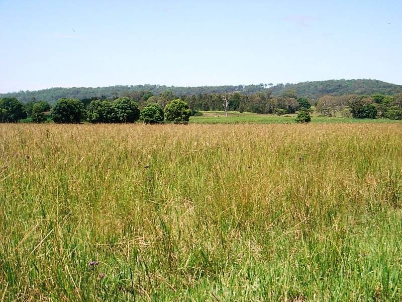 91 Upper Coldstream Rd, Tyndale NSW 2460