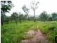 1132 Wooli Road, Pillar Valley NSW 2462
