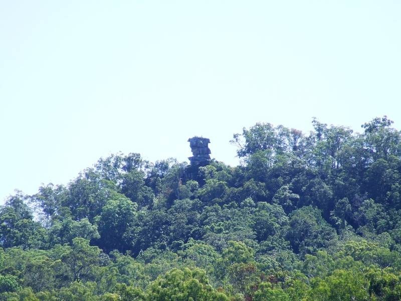 1132 Wooli Road, Pillar Valley NSW 2462