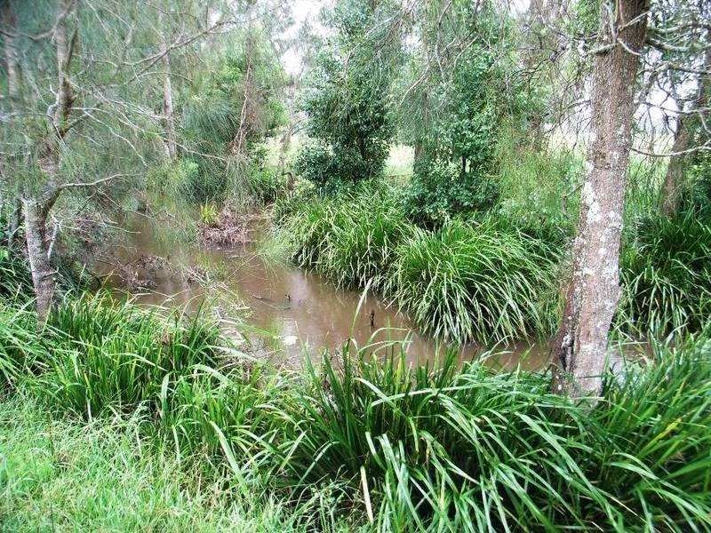 1132 Wooli Road, Pillar Valley NSW 2462