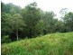 1132 Wooli Road, Pillar Valley NSW 2462