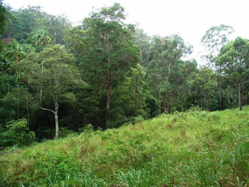 1132 Wooli Road, Pillar Valley NSW 2462