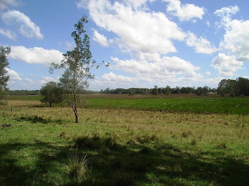 959 Tucabia Rd/Tallowood Ln, Tucabia NSW 2462